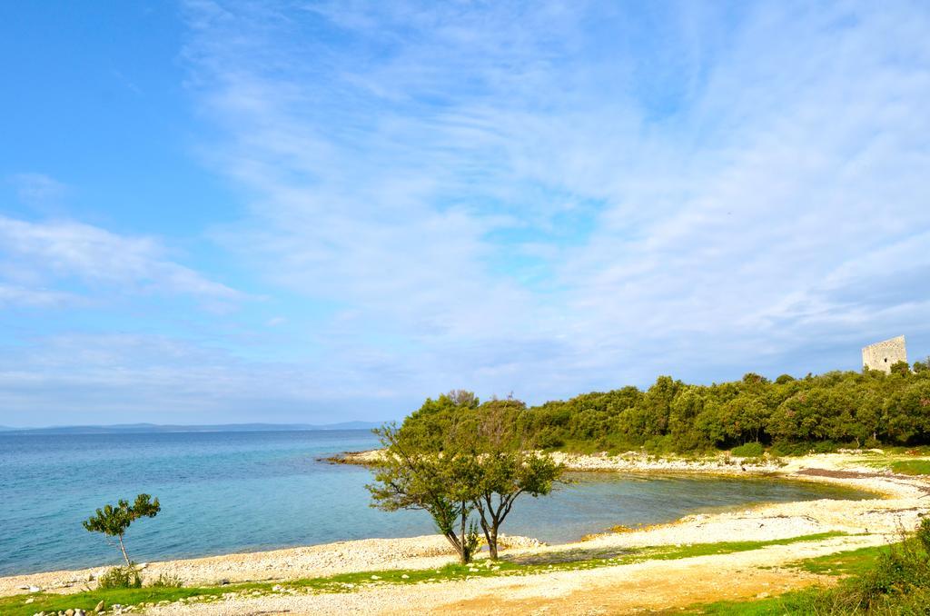 Success Luxury Appartement Zadar